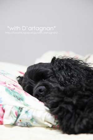 With D'artagnan