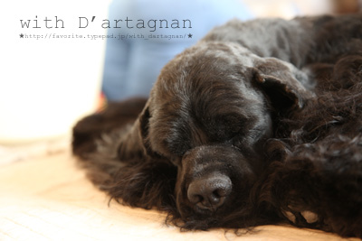With_dartagnan_2
